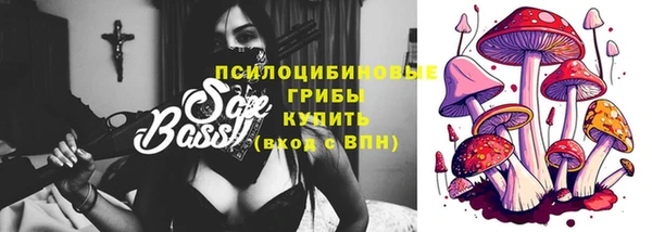 дурь Лабытнанги