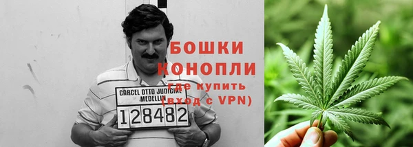 гидропоника Лагань