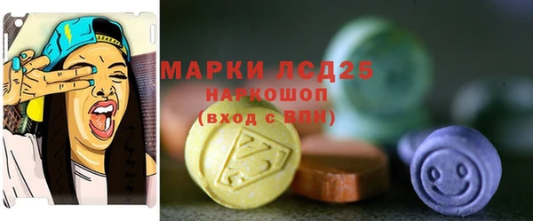 дурь Лабытнанги