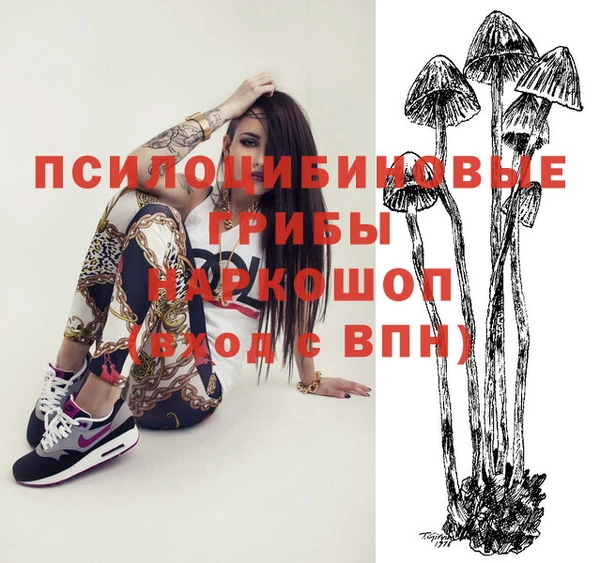 гидропоника Лагань