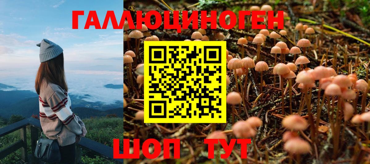 Псилоцибиновые грибы мицелий  Вход с VPN  Кострома 