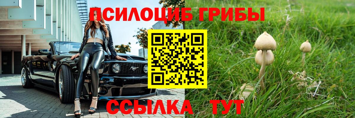 Галлюциногенные грибы Cubensis Кострома