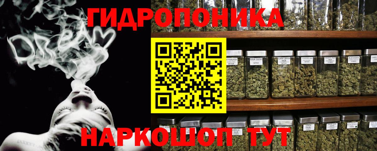 Кострома  Конопля OG Kush  Вход с VPN  Бошки Шишки семена 